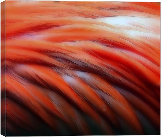 Flamingo in Abstract Canvas Print by Mikaela Fox