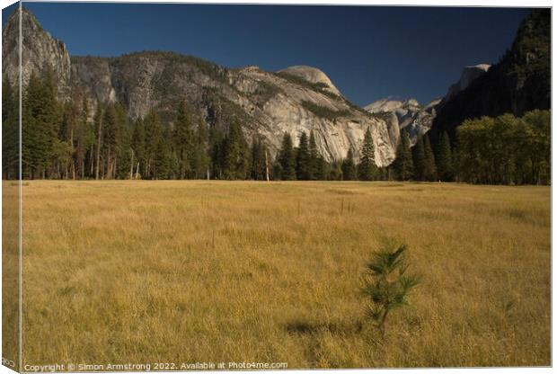 Yosemite Valley, California Canvas Print by Simon Armstrong