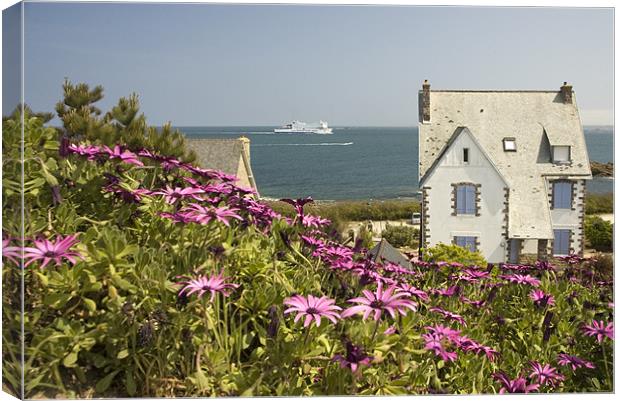 Brittany Ferries Armorique Canvas Print by Simon Armstrong