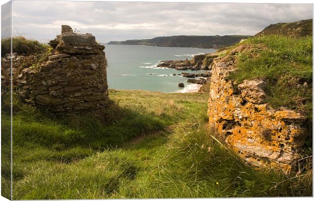 Lannacombe Bay, South West Coast Path Canvas Print by Simon Armstrong