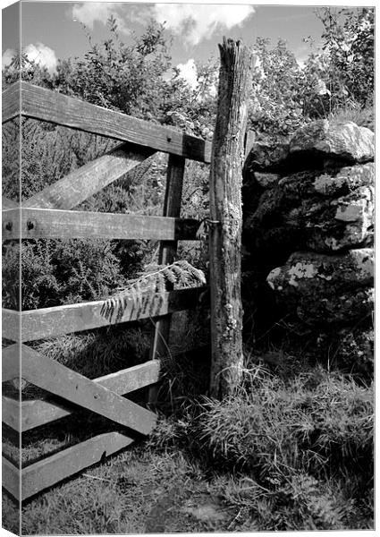Rustic gate post Canvas Print by Simon Armstrong