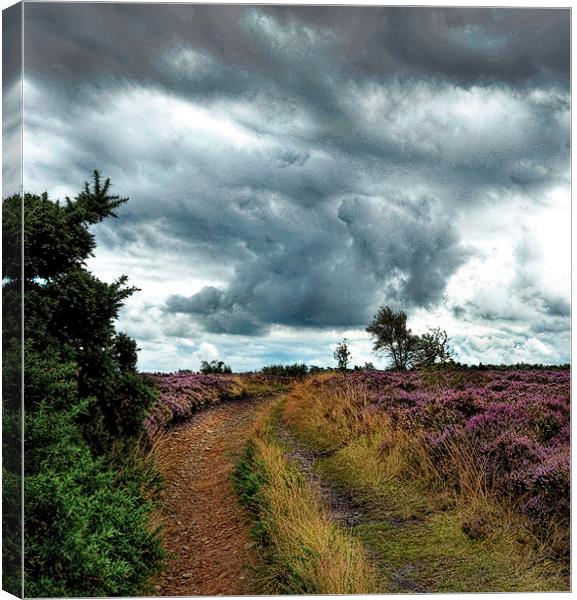  Wuthering Heights Canvas Print by Alan Mattison