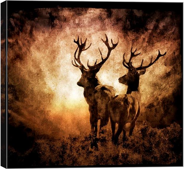  Looking into the Abyss Canvas Print by Alan Mattison