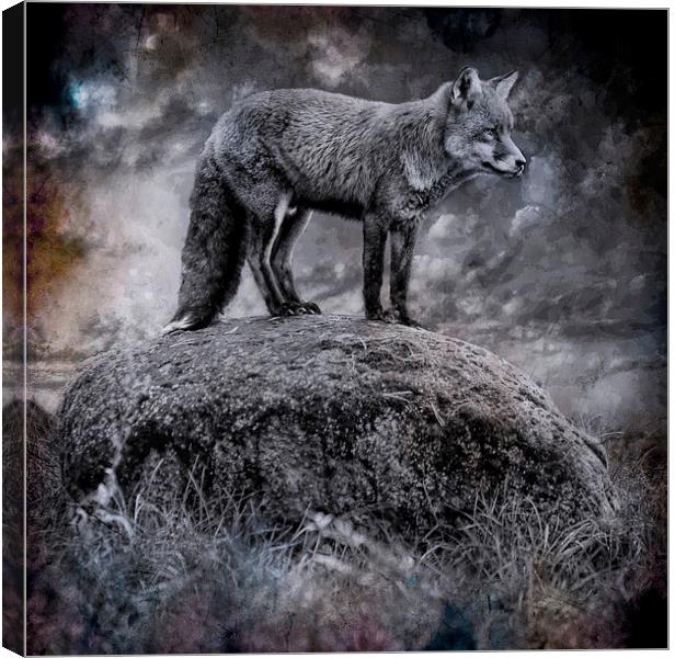  In the light of the silvery moon Canvas Print by Alan Mattison
