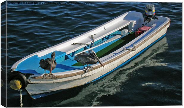 Pelicans on a boat Canvas Print by cairis hickey
