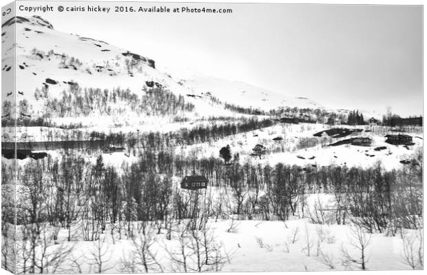 Snowscape norway Canvas Print by cairis hickey