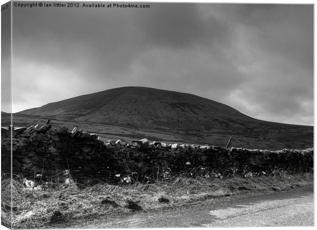 Pendle Hill Canvas Print by ian littler