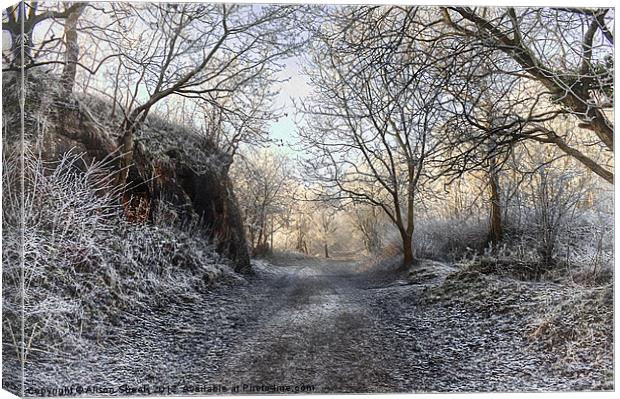 Winter Canvas Print by Alison Streets