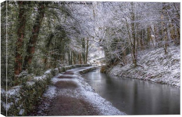  Cromford Canal in Winter Canvas Print by Alison Streets