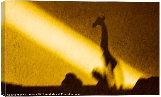 Safari Shadow Canvas Print by Paul Boyce