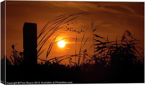 Sunset On The Marsh Canvas Print by Paul Boyce