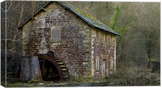Old Water Mill Canvas Print by Colin Tilley