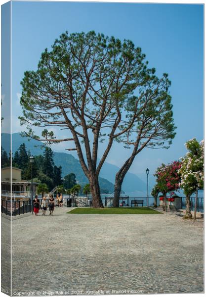 Lakeside Walk at Bellagio Canvas Print by Philip Baines