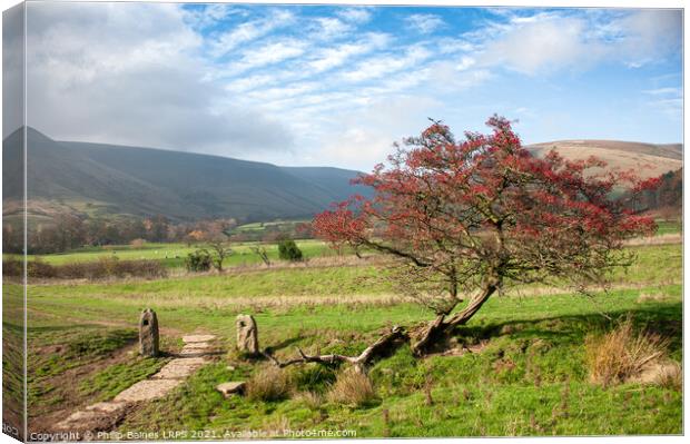 The path to Barber Booth from Edale Canvas Print by Philip Baines