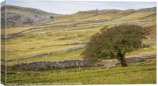 Malhamdale Canvas Print by Philip Baines