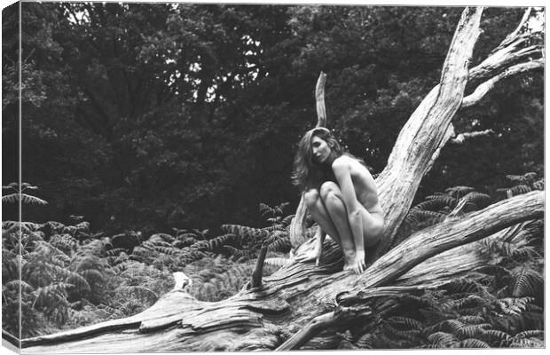 Hiraeth 79 Suzzi - Landscape Art Nude  Canvas Print by Henry Clayton