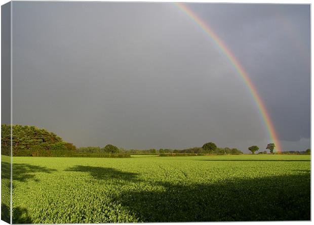 Norfolk Rainbow Canvas Print by Paul Holman Photography