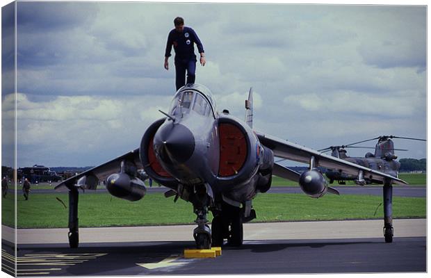 Harrier ready for action Canvas Print by Paul Holman Photography
