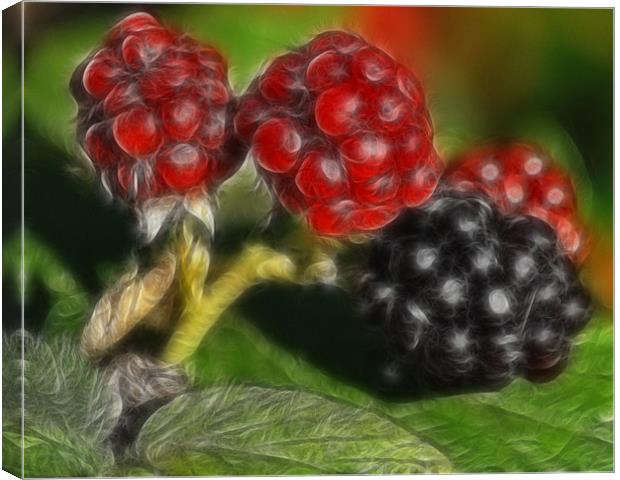 Summer Fruits Canvas Print by Paul Holman Photography