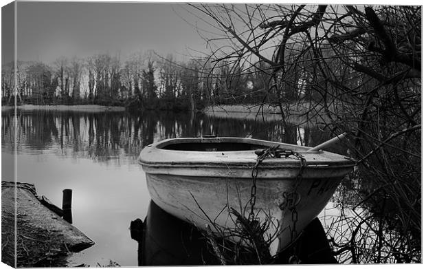 Paddles Canvas Print by Paul Holman Photography