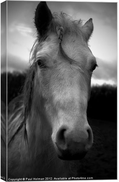 Nags Head 2 Canvas Print by Paul Holman Photography