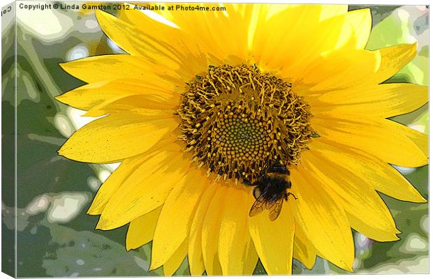 Pollinating a sunflower Canvas Print by Linda Gamston