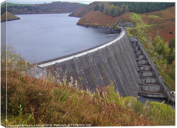 Clywedog Reservoir, Llanidloes Canvas Print by Paula J James