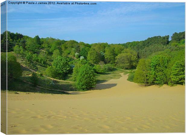 Merthyr Mawr Sand Dunes Canvas Print by Paula J James