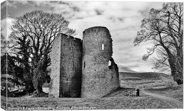 Crickhowell Castle Canvas Print by Paula J James