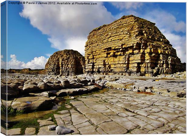 Cliffs at Rhoose Point Canvas Print by Paula J James