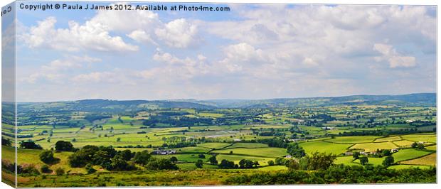 Towy Valley Canvas Print by Paula J James