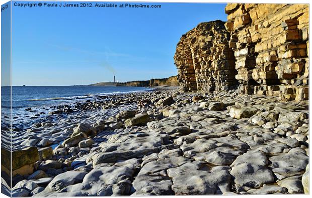 Aberthaw Power Station Canvas Print by Paula J James