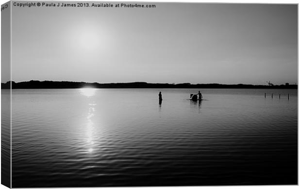 South Wales Sunset Canvas Print by Paula J James