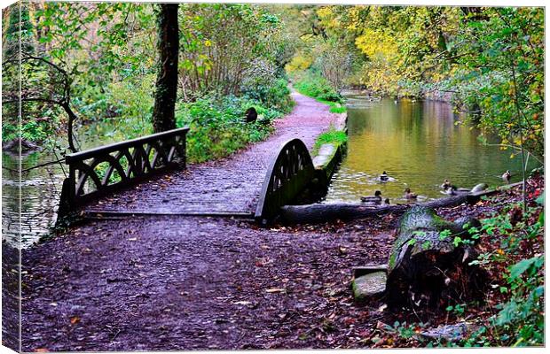 Glamorganshire Canal Canvas Print by Paula J James