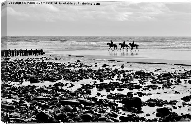 Horses on Amroth Beach Canvas Print by Paula J James