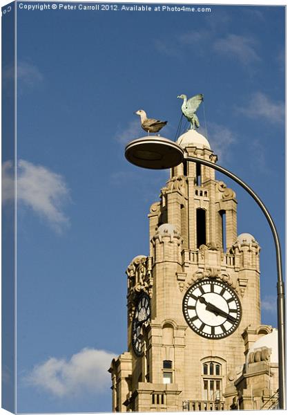 The Liver Birds Liverpool Canvas Print by Peter Carroll