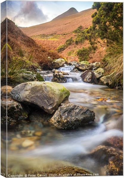 A View To Causey Pike Canvas Print by Peter Carroll