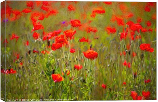 Poppies Summer Day Art  Canvas Print by David Pyatt