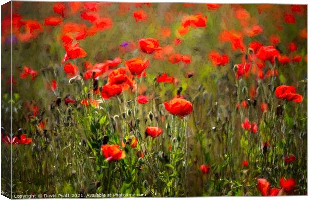 Poppy Peacefulness Art Canvas Print by David Pyatt