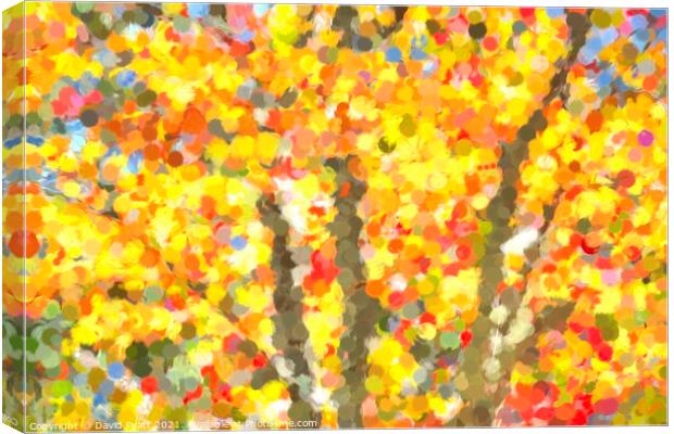  Autumn Colours Sleepy Hollow Art Canvas Print by David Pyatt