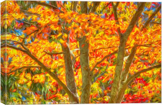 Art Of  Sleepy Hollow Autumn  Canvas Print by David Pyatt