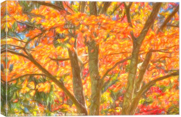 New York Autumnal Art  Canvas Print by David Pyatt
