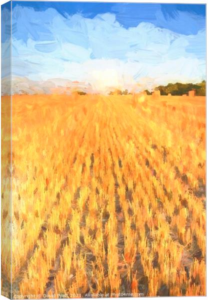 Summer Harvest Art Canvas Print by David Pyatt