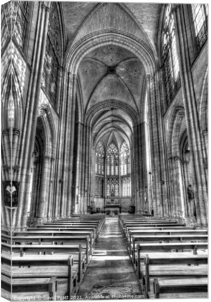 Troyes Cathedral      Canvas Print by David Pyatt