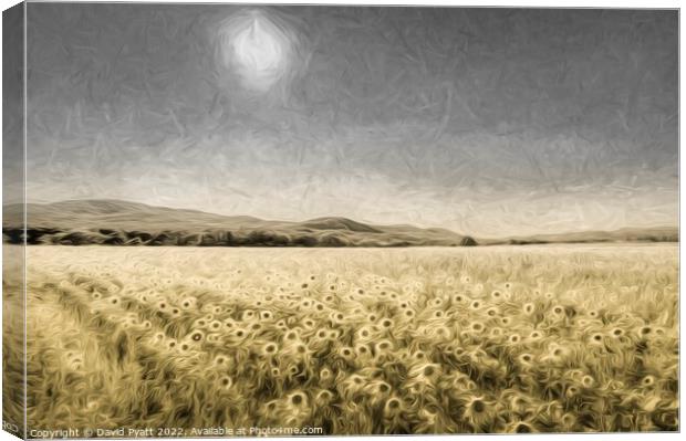 Sunflower Field Of Art Canvas Print by David Pyatt