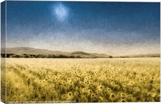 Sunflower Fields Of Art Canvas Print by David Pyatt