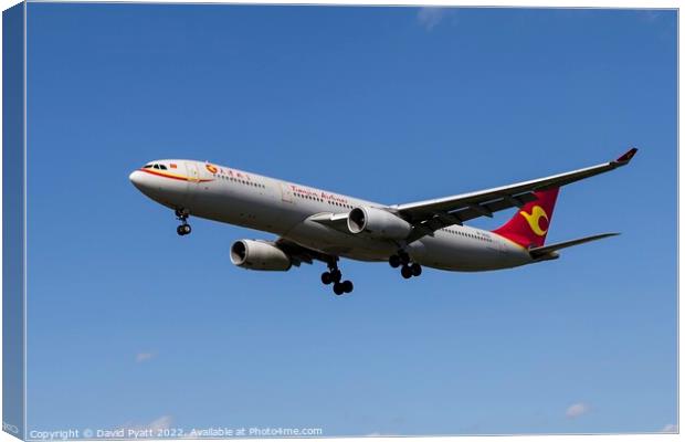 Tianjin Airlines Airbus A330 Canvas Print by David Pyatt