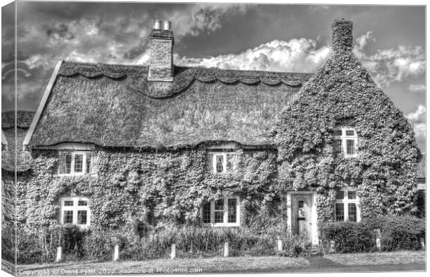 Thatched Cottage  Canvas Print by David Pyatt