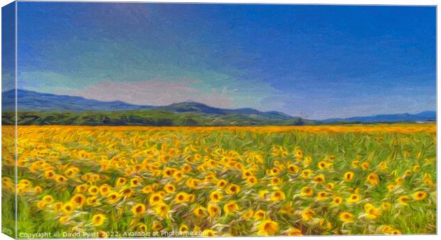 Sunflower Art Dreaming  Canvas Print by David Pyatt