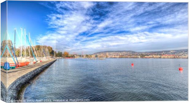 Lake Zurich Panorama Canvas Print by David Pyatt